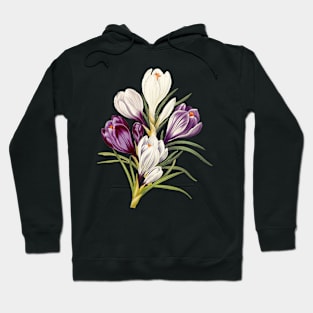 Crocuses - botanical illustration Hoodie